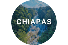 CEDIS CHIAPAS (1)